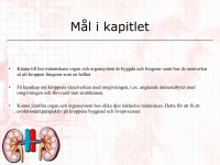 /album/a6-utsondringssystemet/a6-utso%cc%88ndringssystemet-002-jpeg/